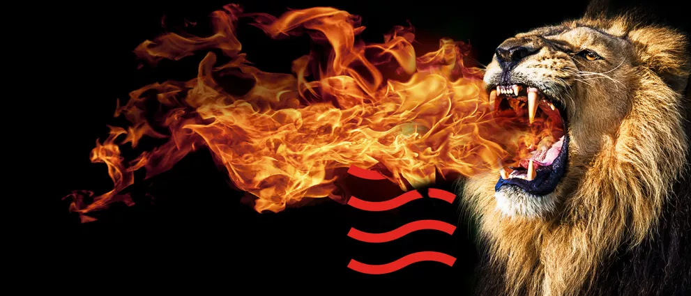 Fire breathing lion banner