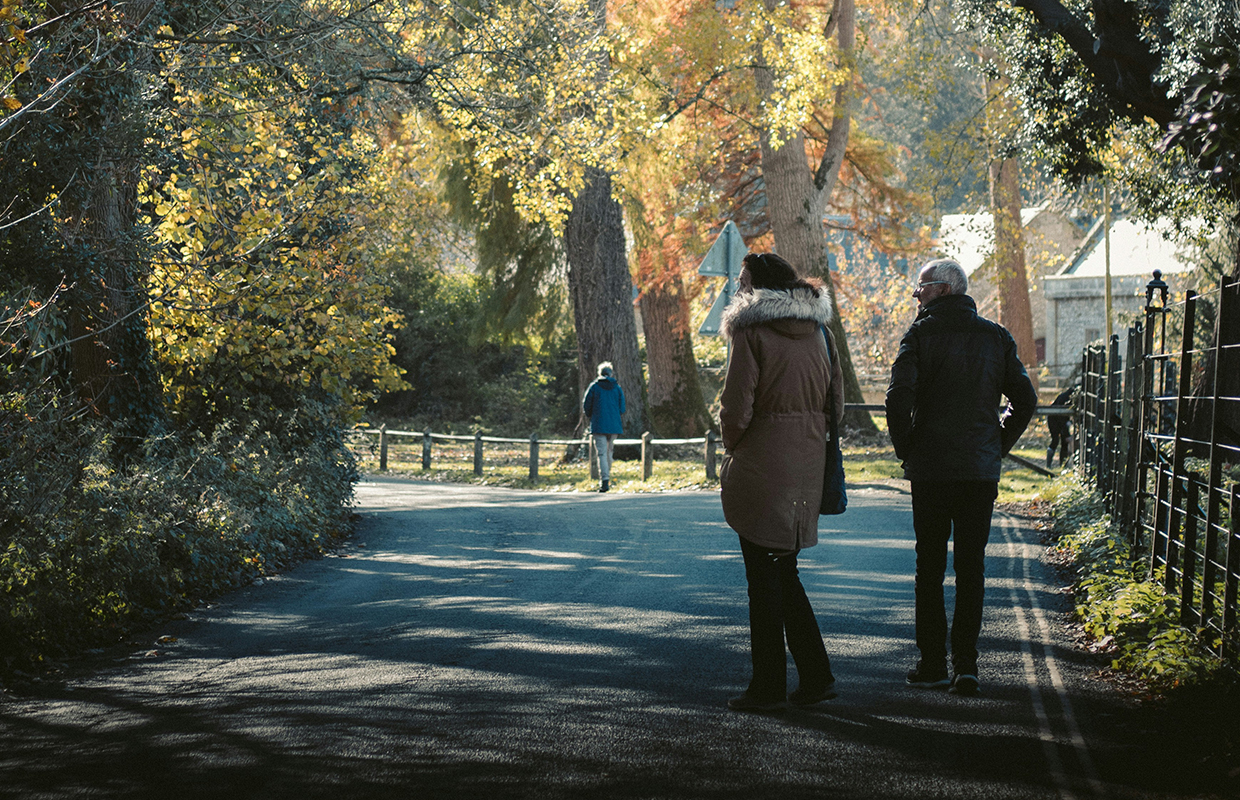 Walking in a park 