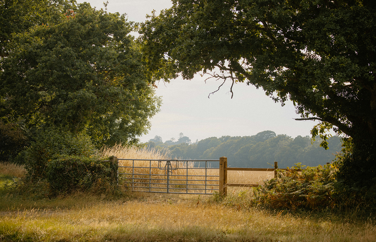 Country side