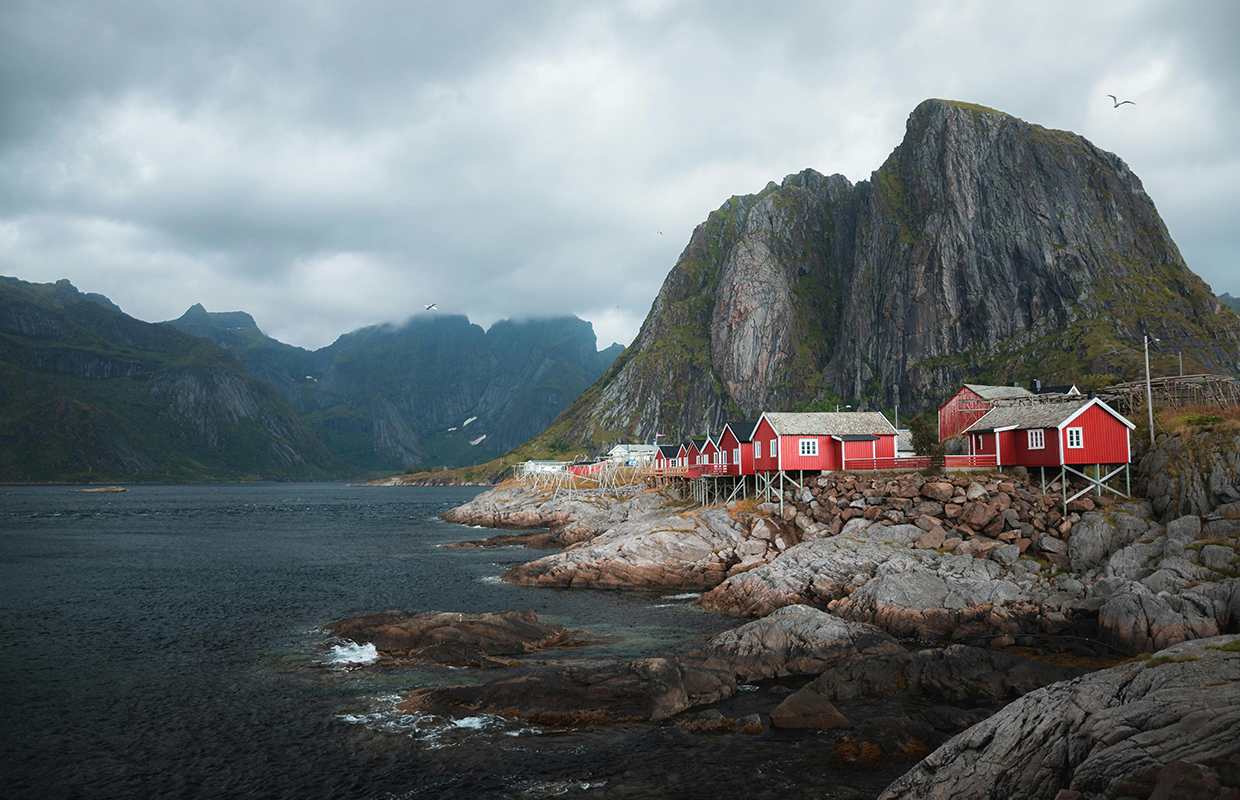 Houses by the sea