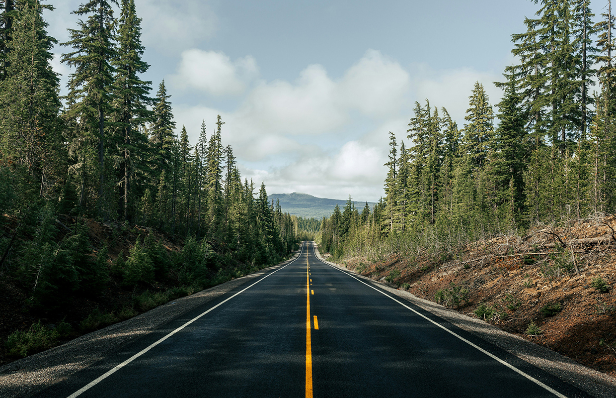Road trees mountains