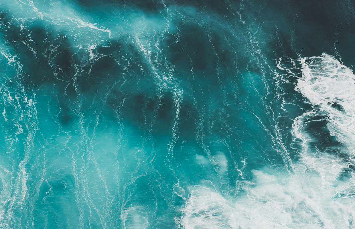 The sea