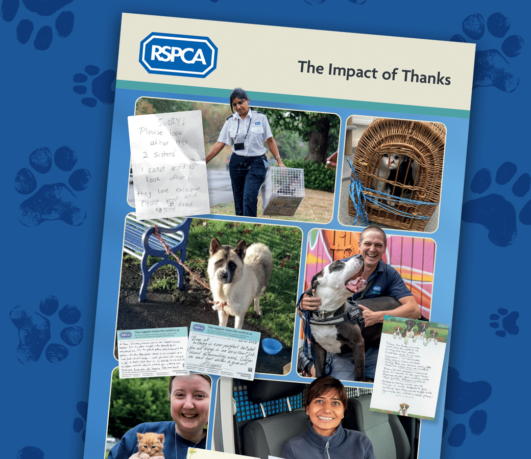 RSPCA Brochure