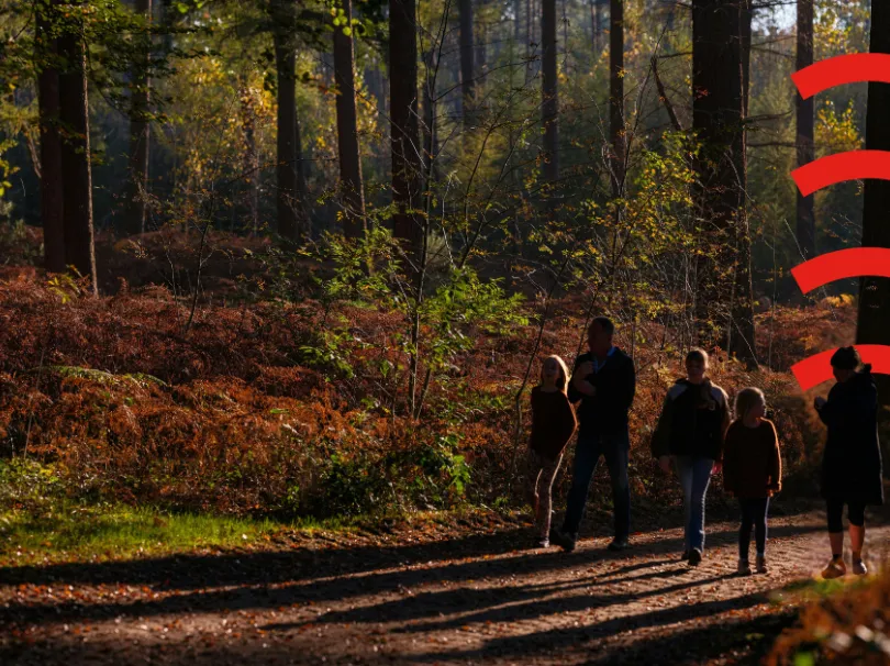 Group of people walking in a forest