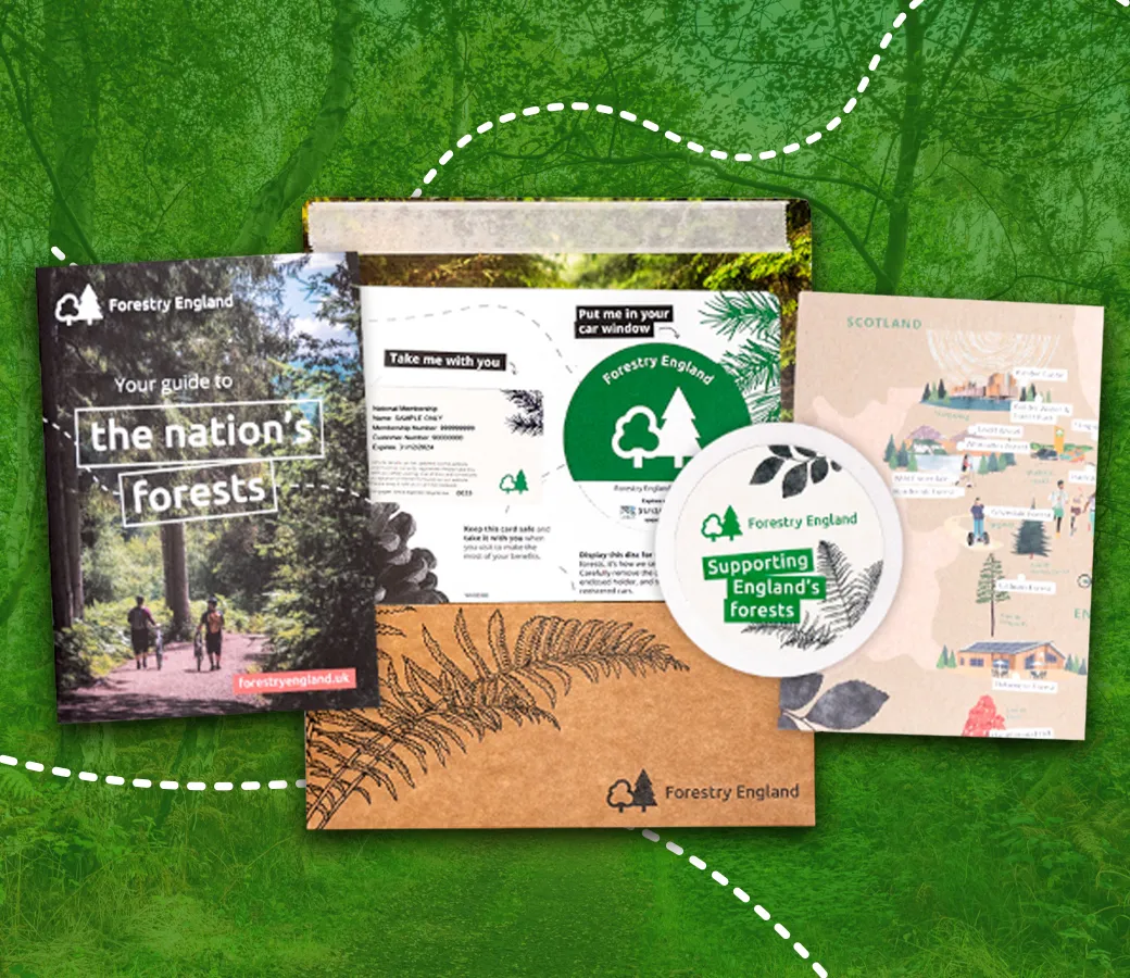 Forestry England leaflet