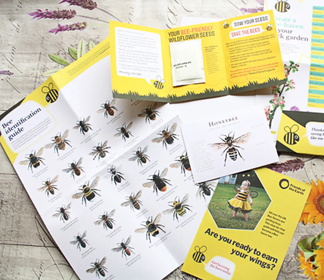 Friends of the earth - bee identification guide