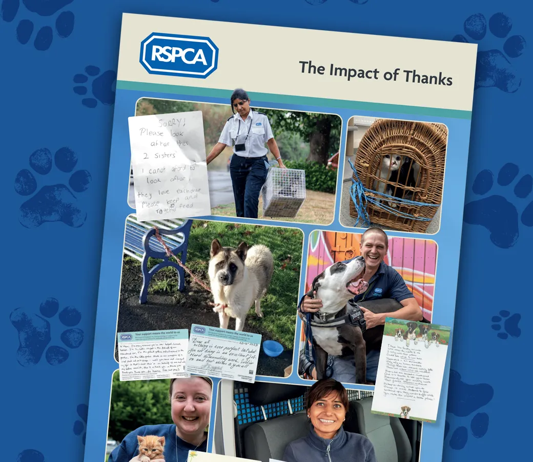 RSPCA Brochure