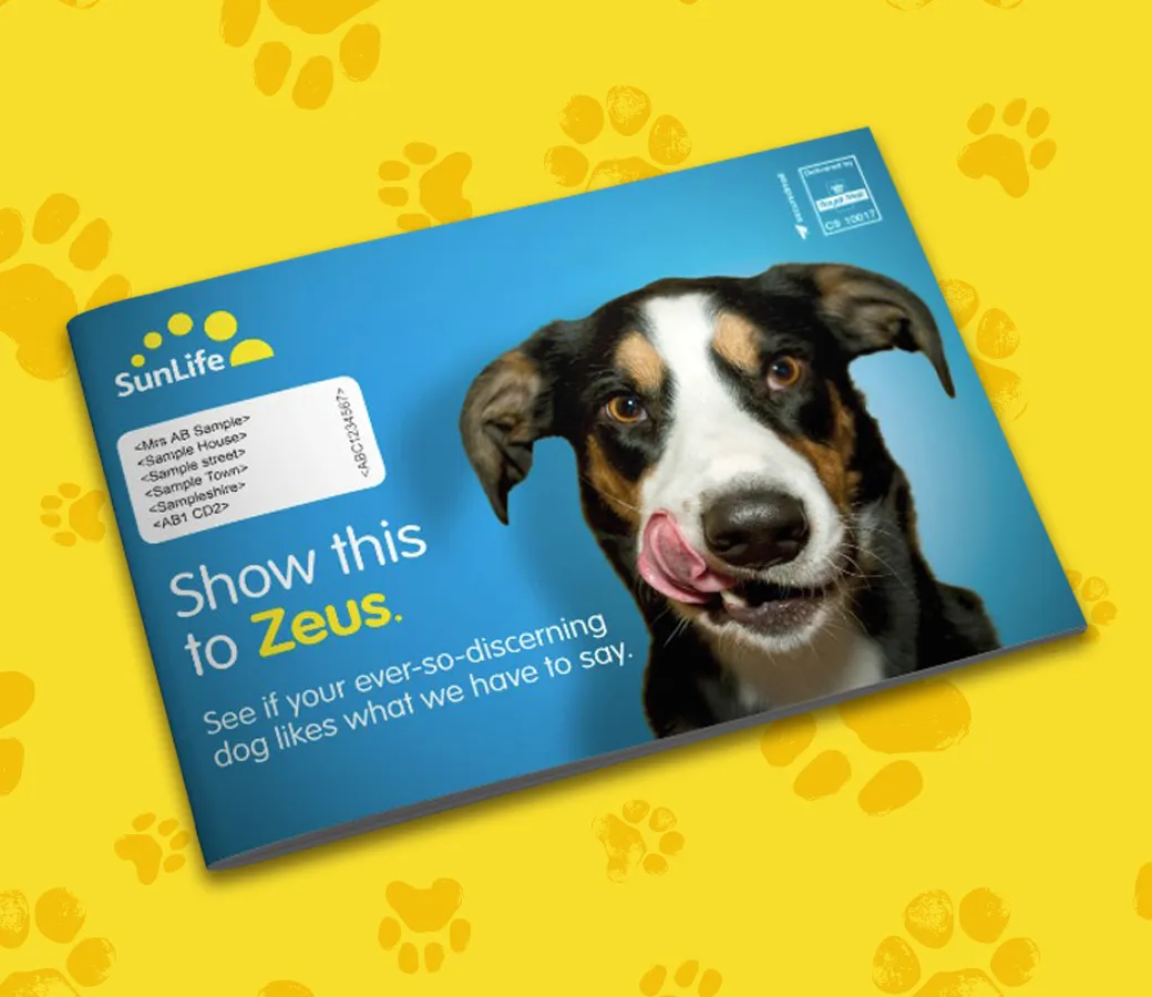 SunLife leaflet